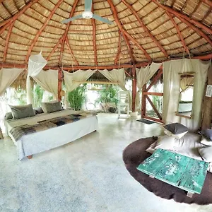 https://glamping-jungle-bohio.comcaribbean.com